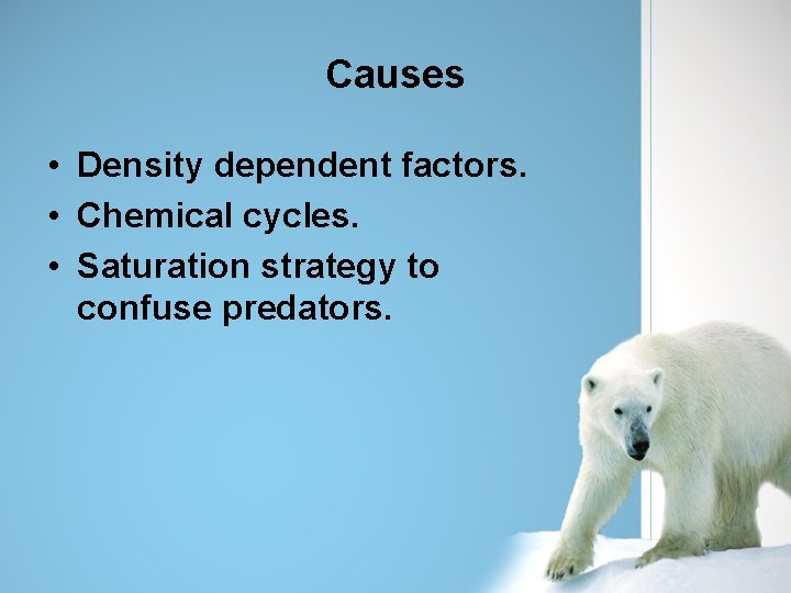 Causes • Density dependent factors. • Chemical cycles. • Saturation strategy to confuse predators.