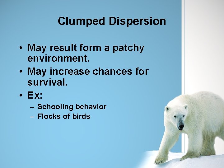 Clumped Dispersion • May result form a patchy environment. • May increase chances for