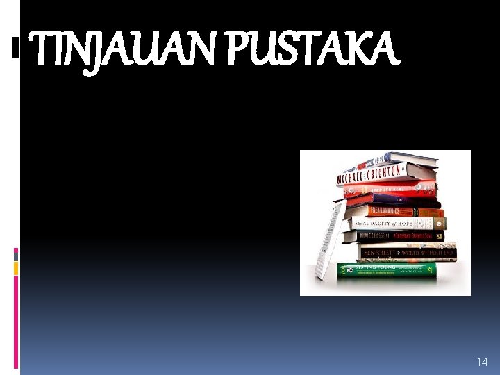 TINJAUAN PUSTAKA 14 