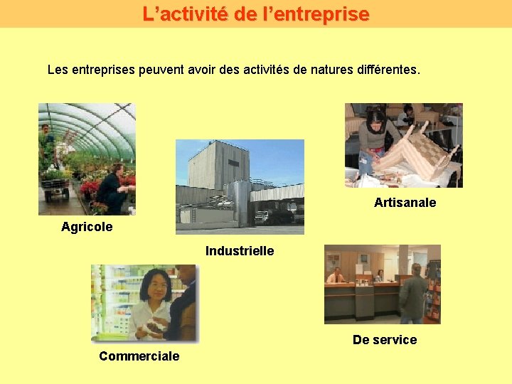 L’activité de l’entreprise Les entreprises peuvent avoir des activités de natures différentes. Artisanale Agricole