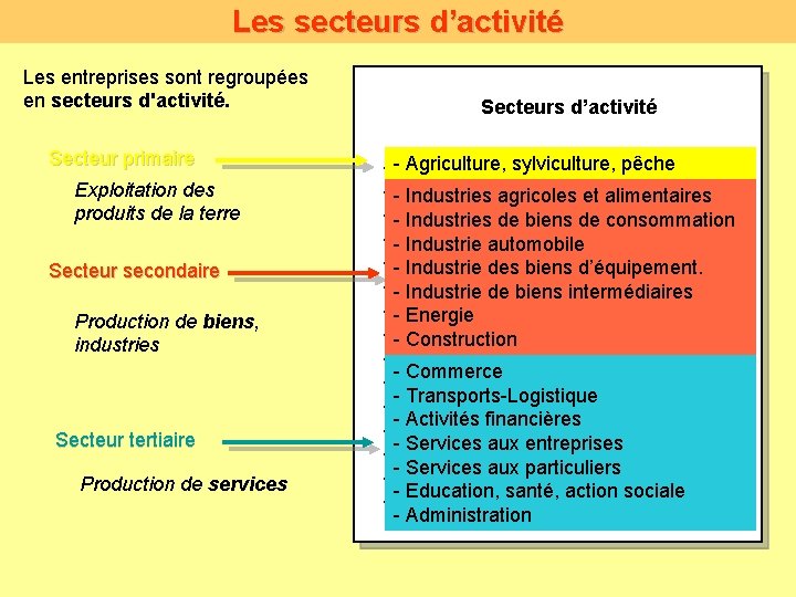 Les secteurs d’activité Les entreprises sont regroupées en secteurs d'activité. Secteur primaire Exploitation des