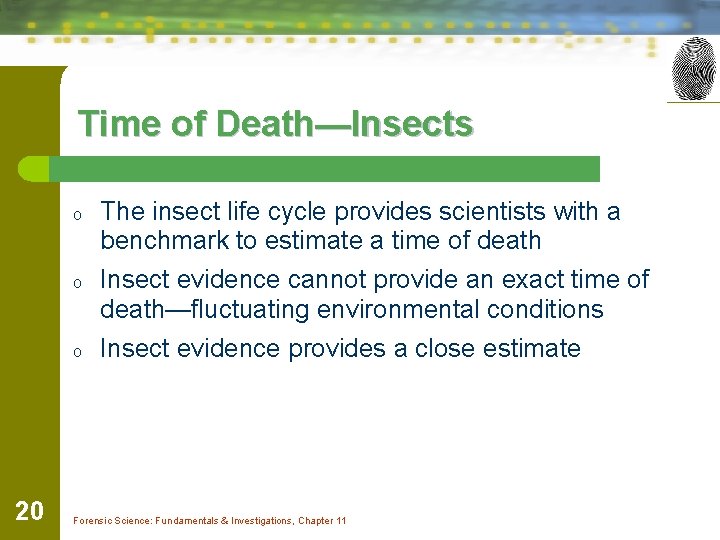 Time of Death—Insects o o o 20 The insect life cycle provides scientists with