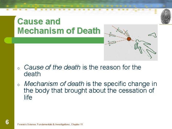 Cause and Mechanism of Death o o 6 Cause of the death is the