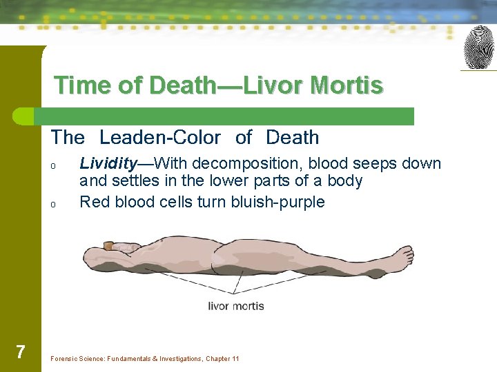 Time of Death—Livor Mortis The Leaden-Color of Death o o 7 Lividity—With decomposition, blood