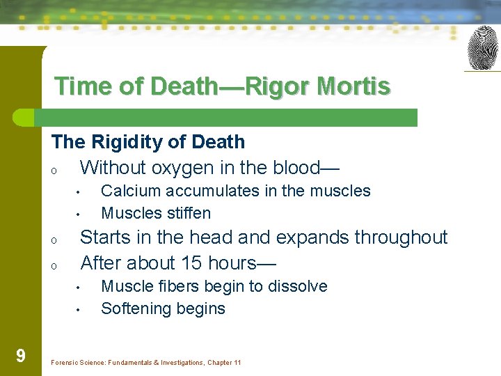 Time of Death—Rigor Mortis The Rigidity of Death o Without oxygen in the blood—