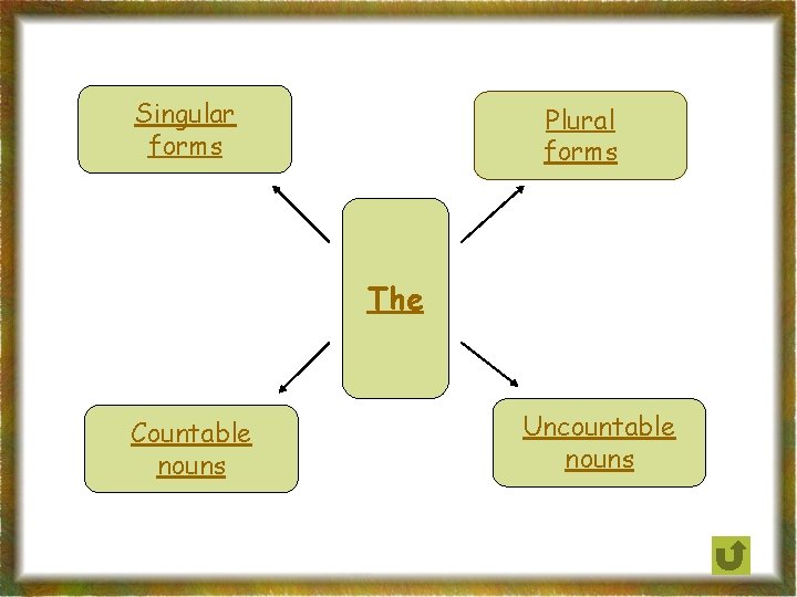 Singular forms Plural forms The Countable nouns Uncountable nouns 