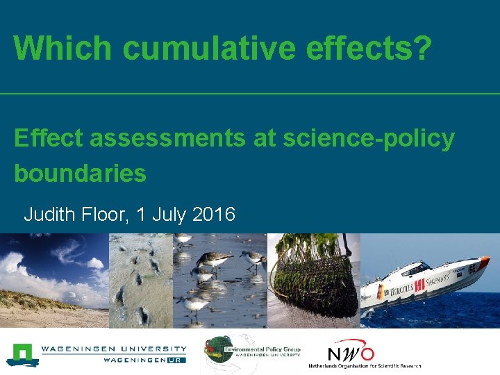 Which cumulative effects? Effect assessments at science-policy boundaries Judith Floor, 1 July 2016 