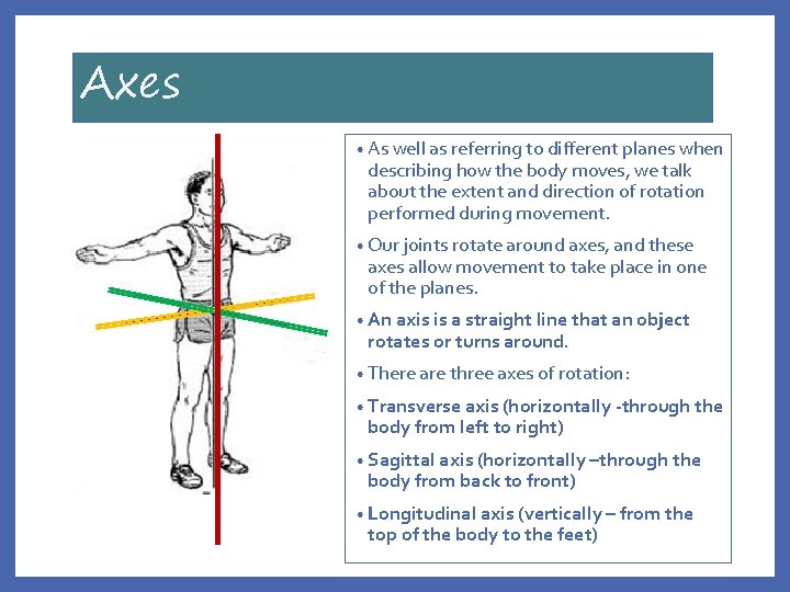 Axes • As well as referring to different planes when describing how the body
