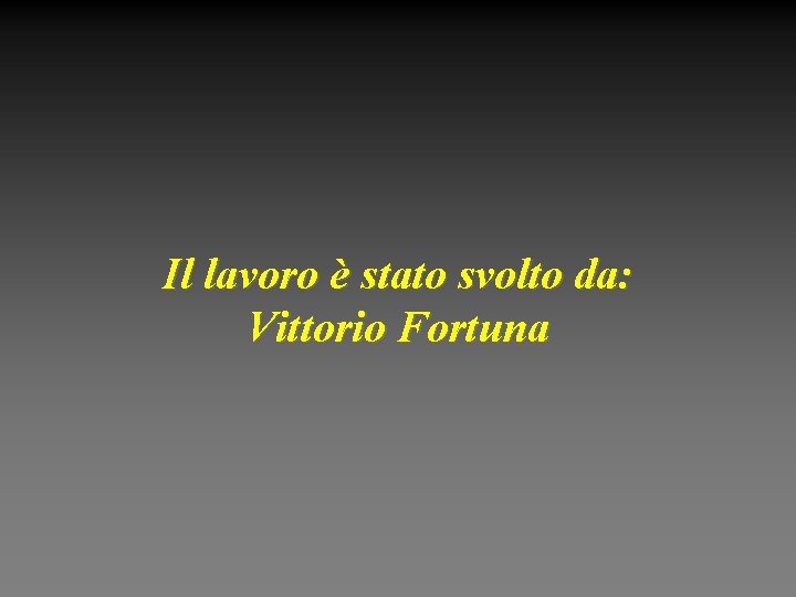 Il lavoro è stato svolto da: Vittorio Fortuna 