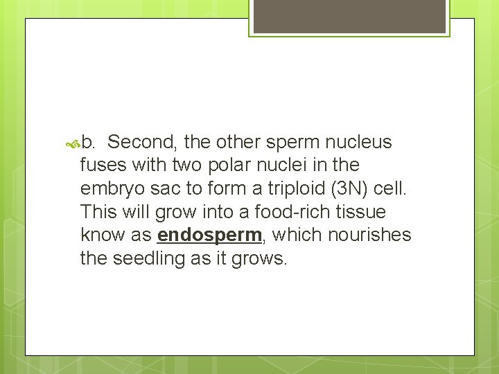  b. Second, the other sperm nucleus fuses with two polar nuclei in the