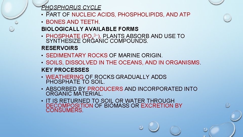 PHOSPHORUS CYCLE • PART OF NUCLEIC ACIDS, PHOSPHOLIPIDS, AND ATP • BONES AND TEETH.