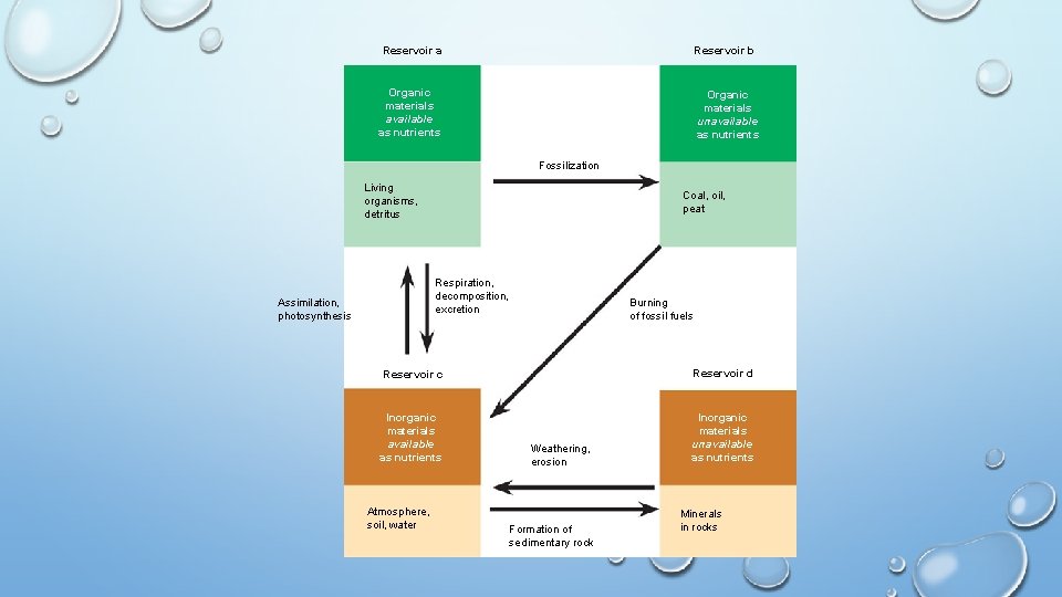 Reservoir a Reservoir b Organic materials available as nutrients Organic materials unavailable as nutrients