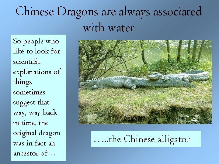 Chinese Dragons are always associated with water So people who like to look for