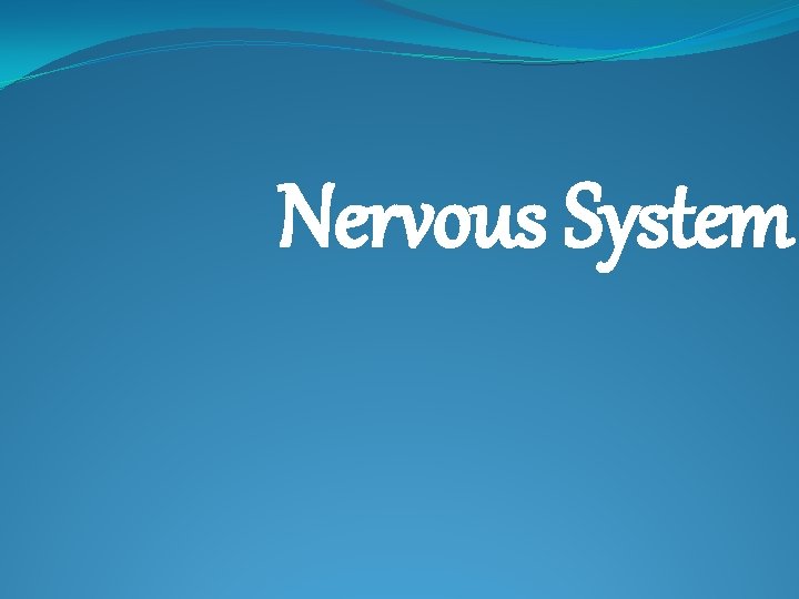 Nervous System 