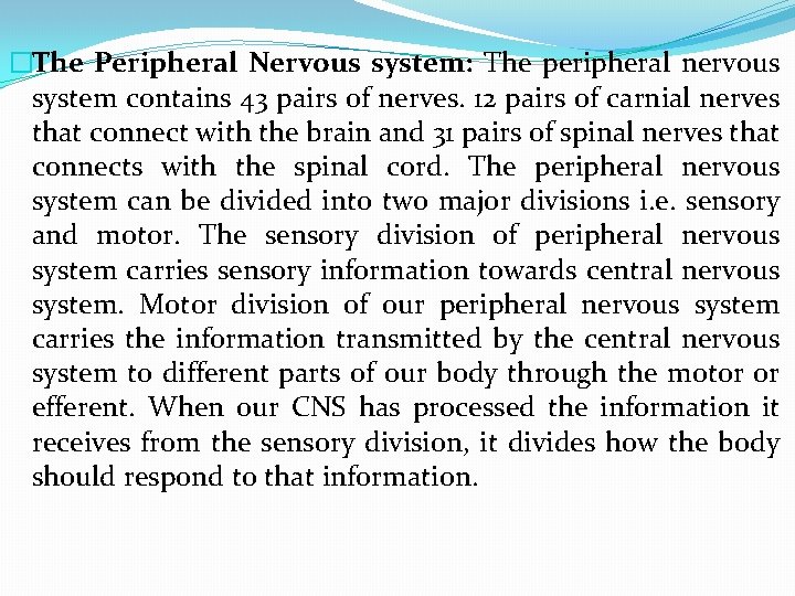 �The Peripheral Nervous system: The peripheral nervous system contains 43 pairs of nerves. 12