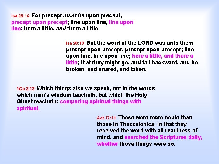 Jesus 101 A Biblically Reverent Look at Who