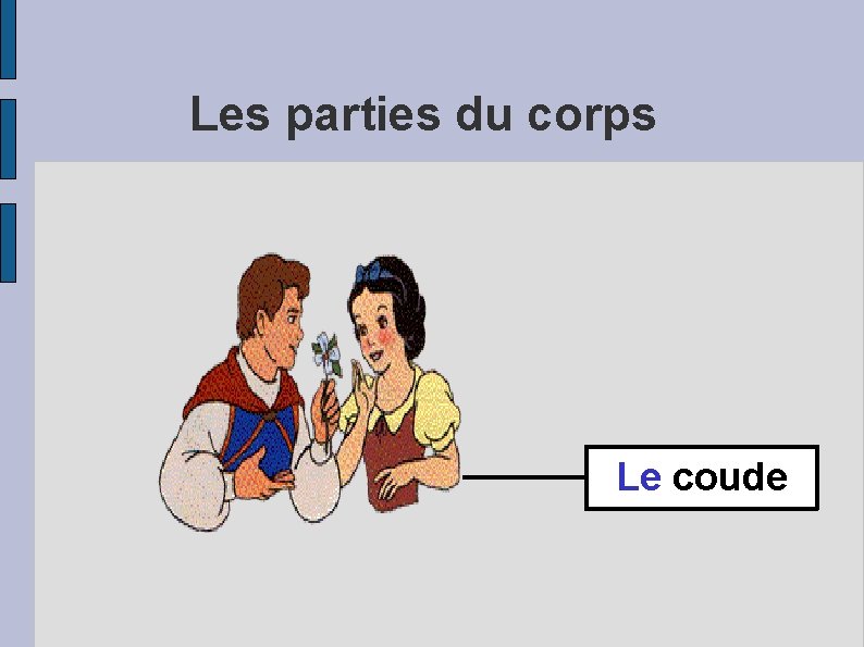 Les parties du corps Le coude 