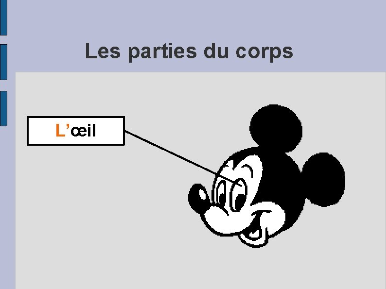 Les parties du corps L’œil 