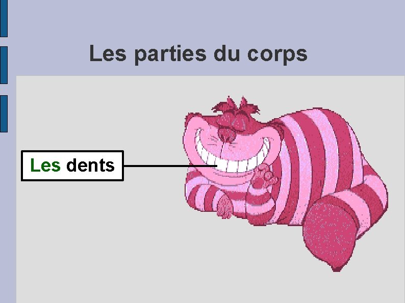 Les parties du corps Les dents 