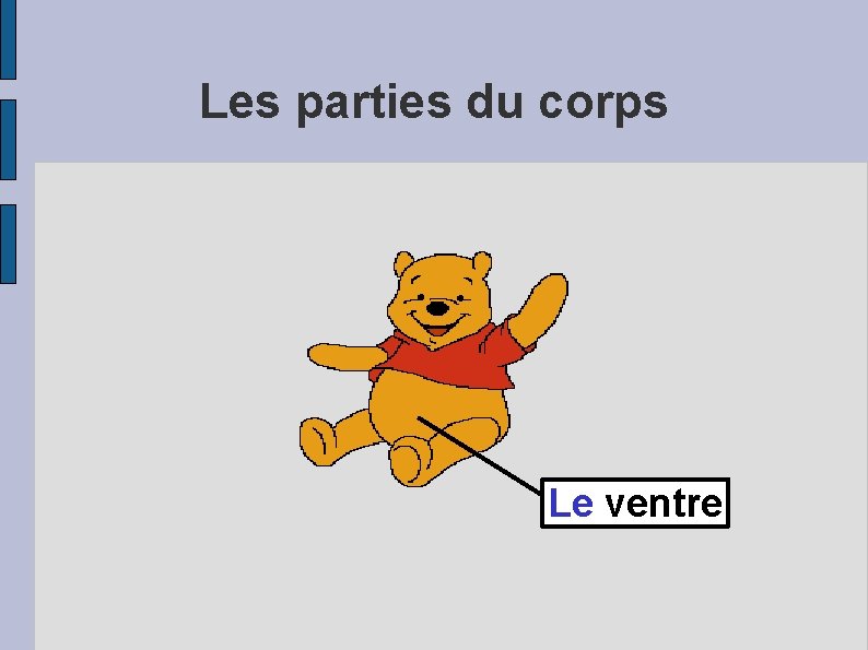 Les parties du corps Le ventre 