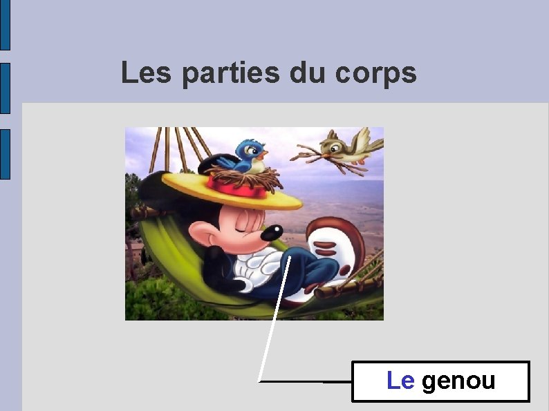 Les parties du corps Le genou 