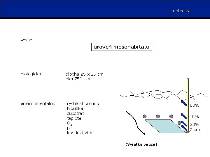 metodika DATA úroveň mesohabitatu biologická: plocha 25 x 25 cm oka 250 µm environmentální: