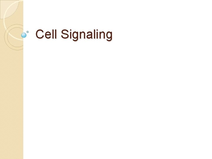 Cell Signaling 