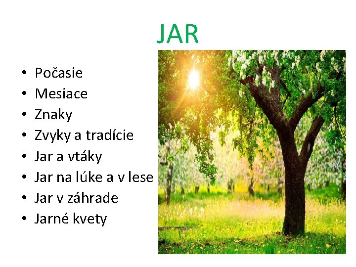 JAR • • Počasie Mesiace Znaky Zvyky a tradície Jar a vtáky Jar na