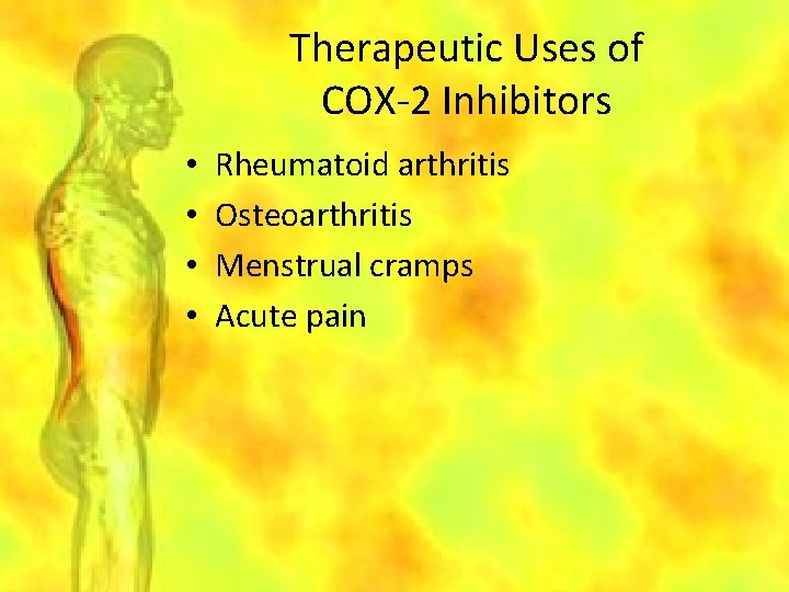 Therapeutic Uses of COX-2 Inhibitors • • Rheumatoid arthritis Osteoarthritis Menstrual cramps Acute pain