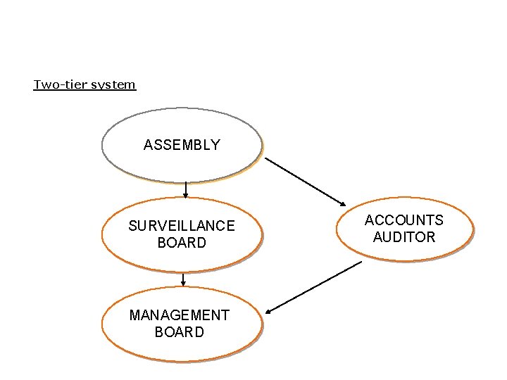 Two-tier system ASSEMBLY SURVEILLANCE BOARD MANAGEMENT BOARD ACCOUNTS AUDITOR 