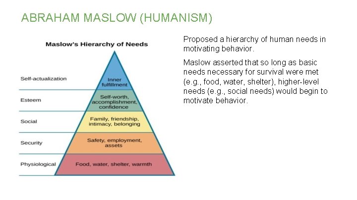 ABRAHAM MASLOW (HUMANISM) Proposed a hierarchy of human needs in motivating behavior. Maslow asserted ABRAHAM MASLOW (HUMANISM) Proposed a hierarchy of human needs in motivating behavior. Maslow asserted