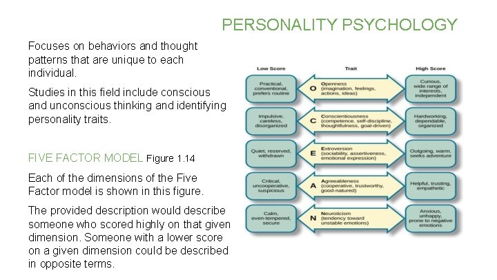 PERSONALITY PSYCHOLOGY Focuses on behaviors and thought patterns that are unique to each individual. PERSONALITY PSYCHOLOGY Focuses on behaviors and thought patterns that are unique to each individual.