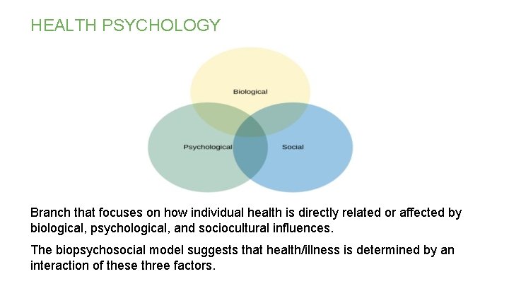HEALTH PSYCHOLOGY Branch that focuses on how individual health is directly related or affected HEALTH PSYCHOLOGY Branch that focuses on how individual health is directly related or affected