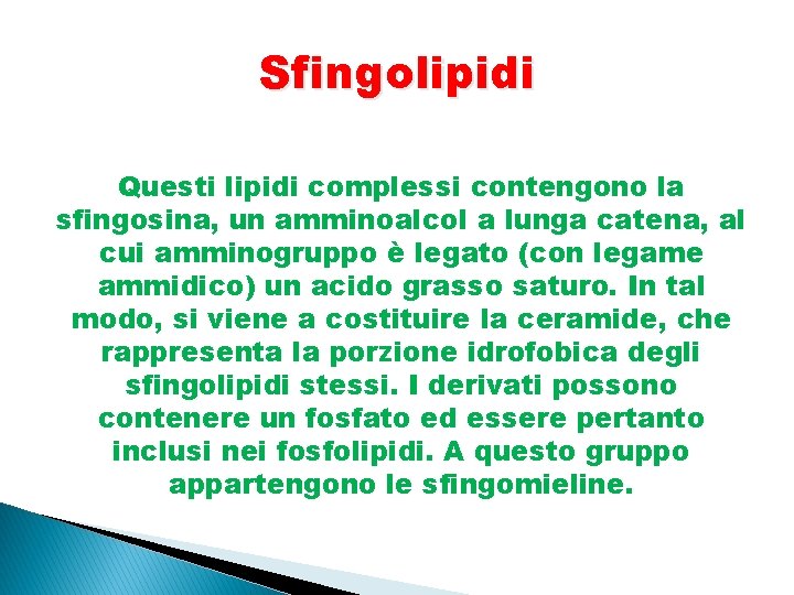 Sfingolipidi Questi lipidi complessi contengono la sfingosina, un amminoalcol a lunga catena, al cui