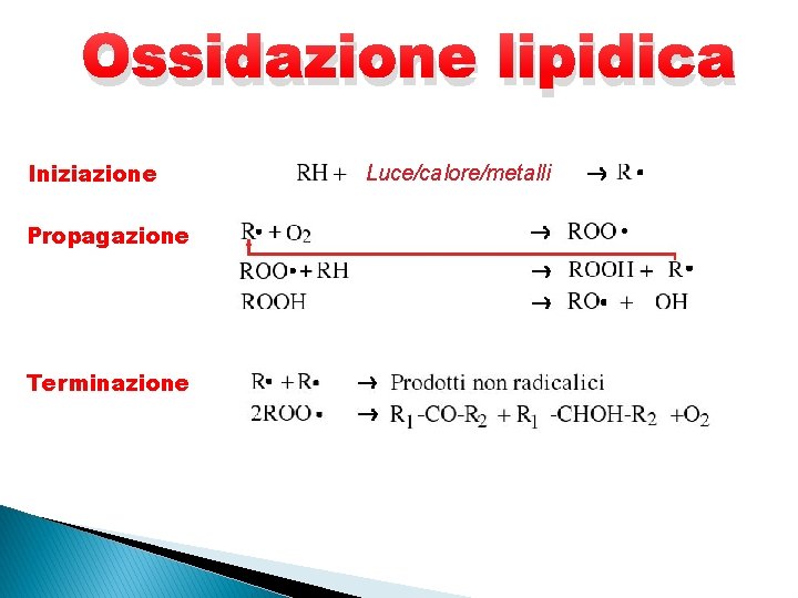 Ossidazione lipidica Iniziazione Propagazione Terminazione Luce/calore/metalli 