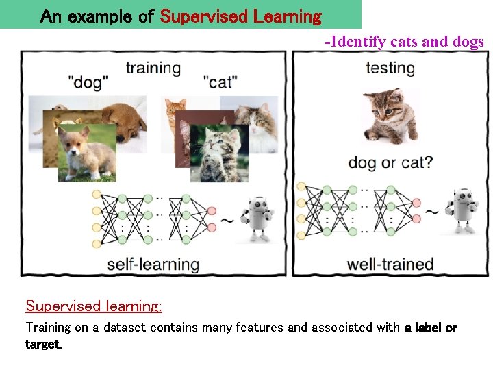 An example of Supervised Learning -Identify cats and dogs Supervised learning: Training on a