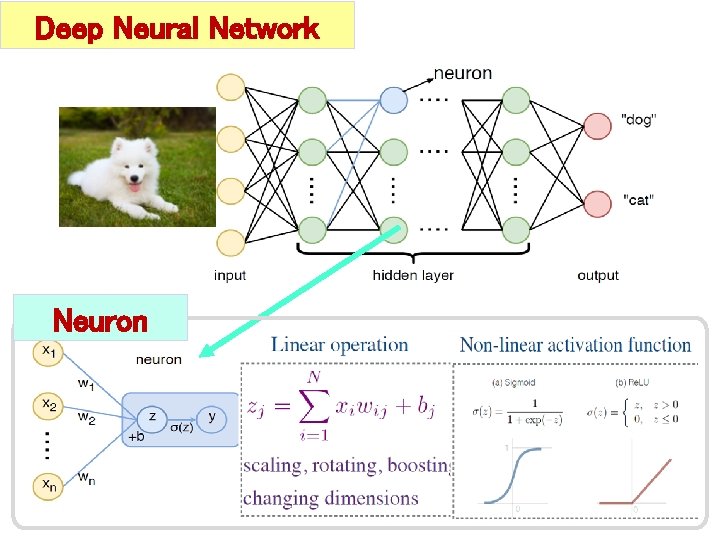 Deep Neural Network Neuron 
