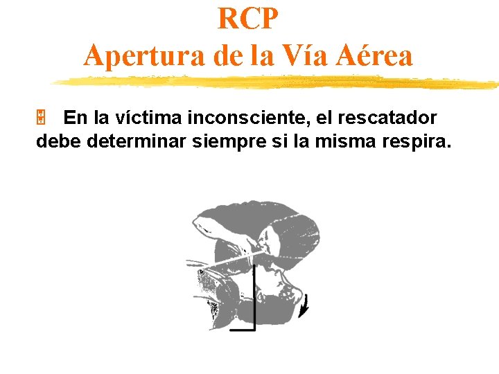 RCP Apertura de la Vía Aérea En la víctima inconsciente, el rescatador debe determinar