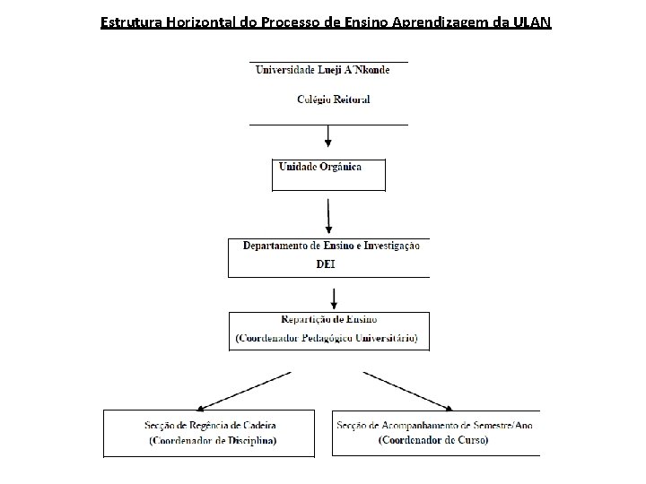 Estrutura Horizontal do Processo de Ensino Aprendizagem da ULAN 