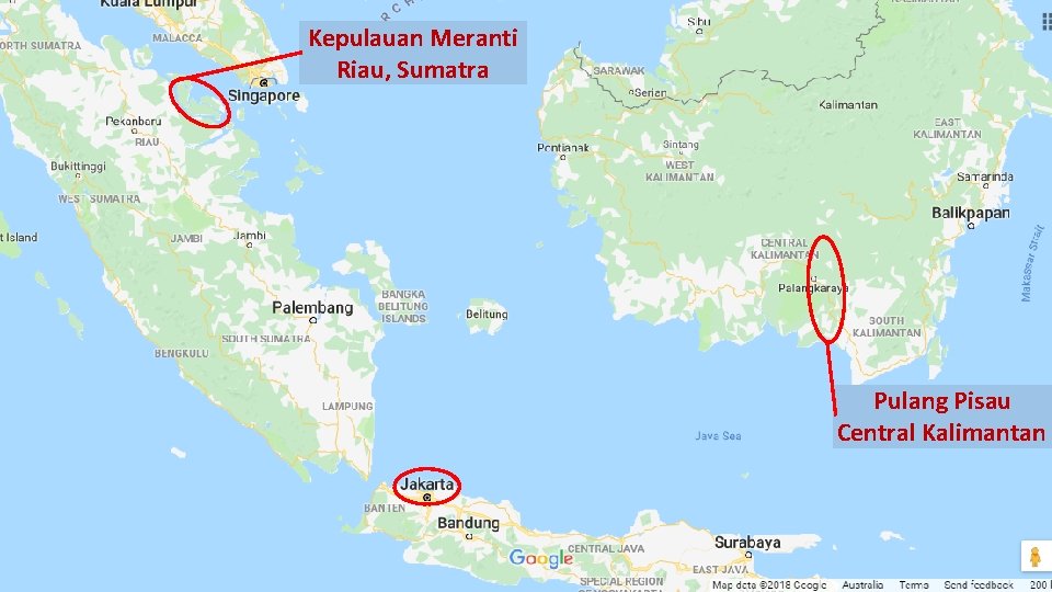 Kepulauan Meranti Riau, Sumatra Pulang Pisau Central Kalimantan 