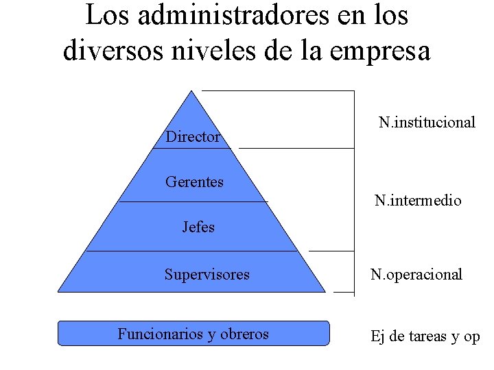 Los administradores en los diversos niveles de la empresa Director N. institucional Gerentes N.