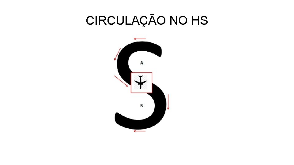 CIRCULAÇÃO NO HS 