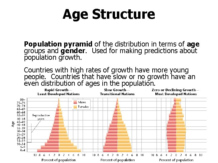 Age Structure Population pyramid of the distribution in terms of age groups and gender.