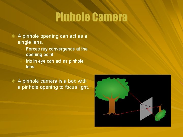 Pinhole Camera ] A pinhole opening can act as a single lens. • Forces