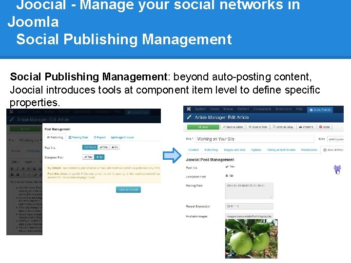 Joocial - Manage your social networks in Joomla Social Publishing Management: beyond auto-posting content,