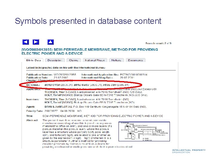 Symbols presented in database content 