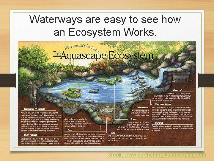 Waterways are easy to see how an Ecosystem Works. Credit: www. earthenergylandscaping. com 