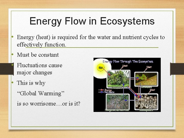 Energy Flow in Ecosystems • Energy (heat) is required for the water and nutrient
