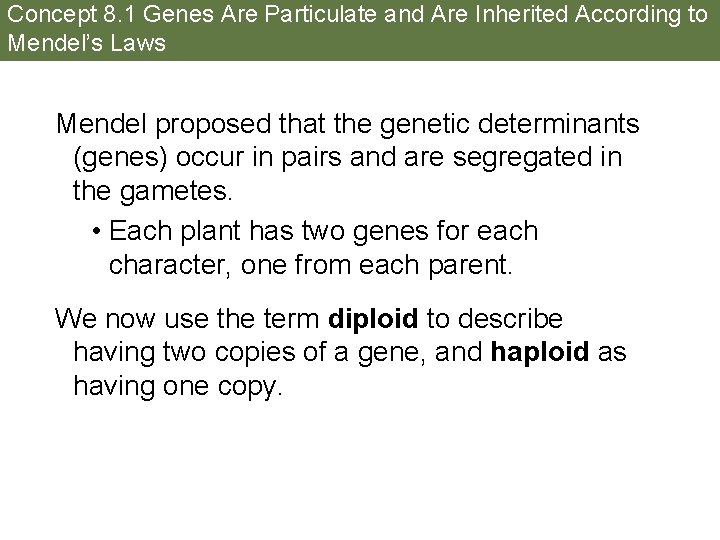Concept 8. 1 Genes Are Particulate and Are Inherited According to Mendel’s Laws Mendel