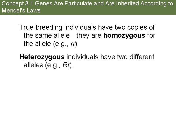 Concept 8. 1 Genes Are Particulate and Are Inherited According to Mendel’s Laws True-breeding